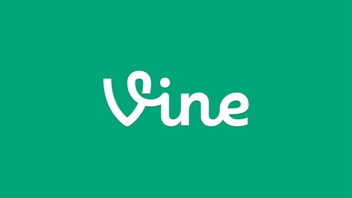 Vine Revival on the Horizon?