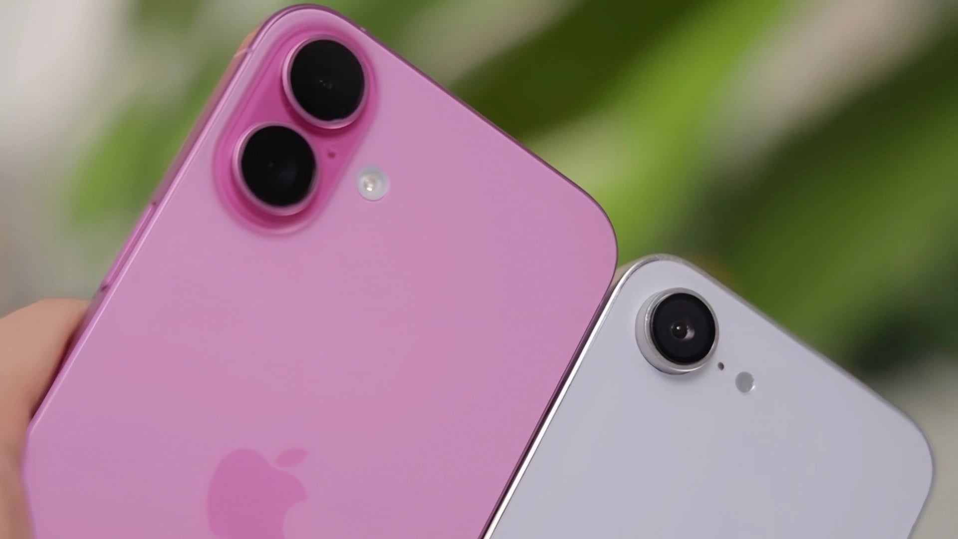 Photo: iPhone SE 4 Compared to iPhone 16 